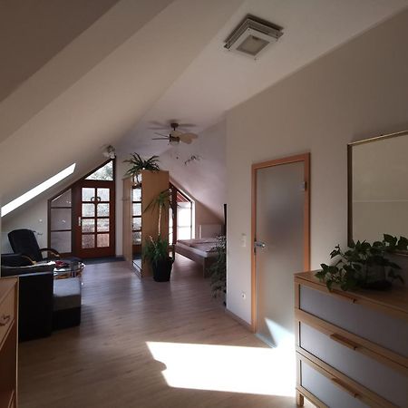 Studio Und Apartment Auf Dem Pferdehof Burgpreppach Buitenkant foto