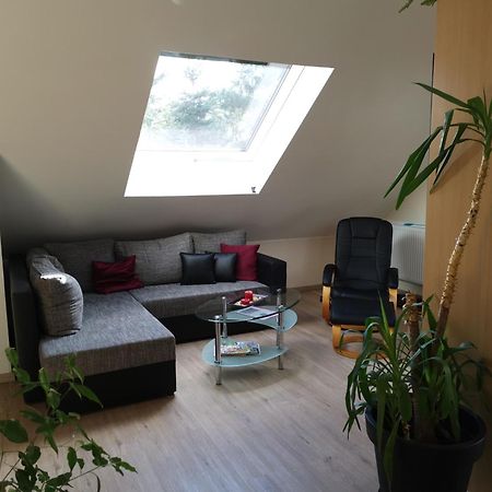 Studio Und Apartment Auf Dem Pferdehof Burgpreppach Buitenkant foto