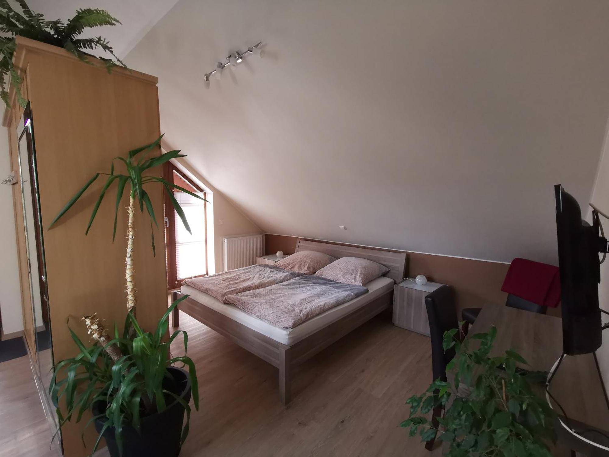 Studio Und Apartment Auf Dem Pferdehof Burgpreppach Buitenkant foto