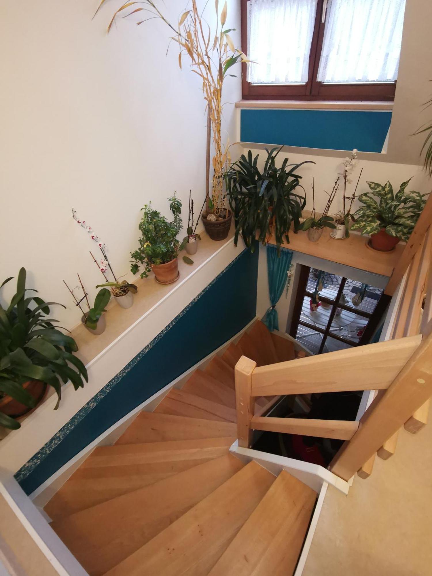 Studio Und Apartment Auf Dem Pferdehof Burgpreppach Buitenkant foto